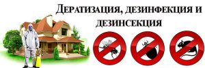 Дератизация дезинсекция фумигация в Минске и РБ.
